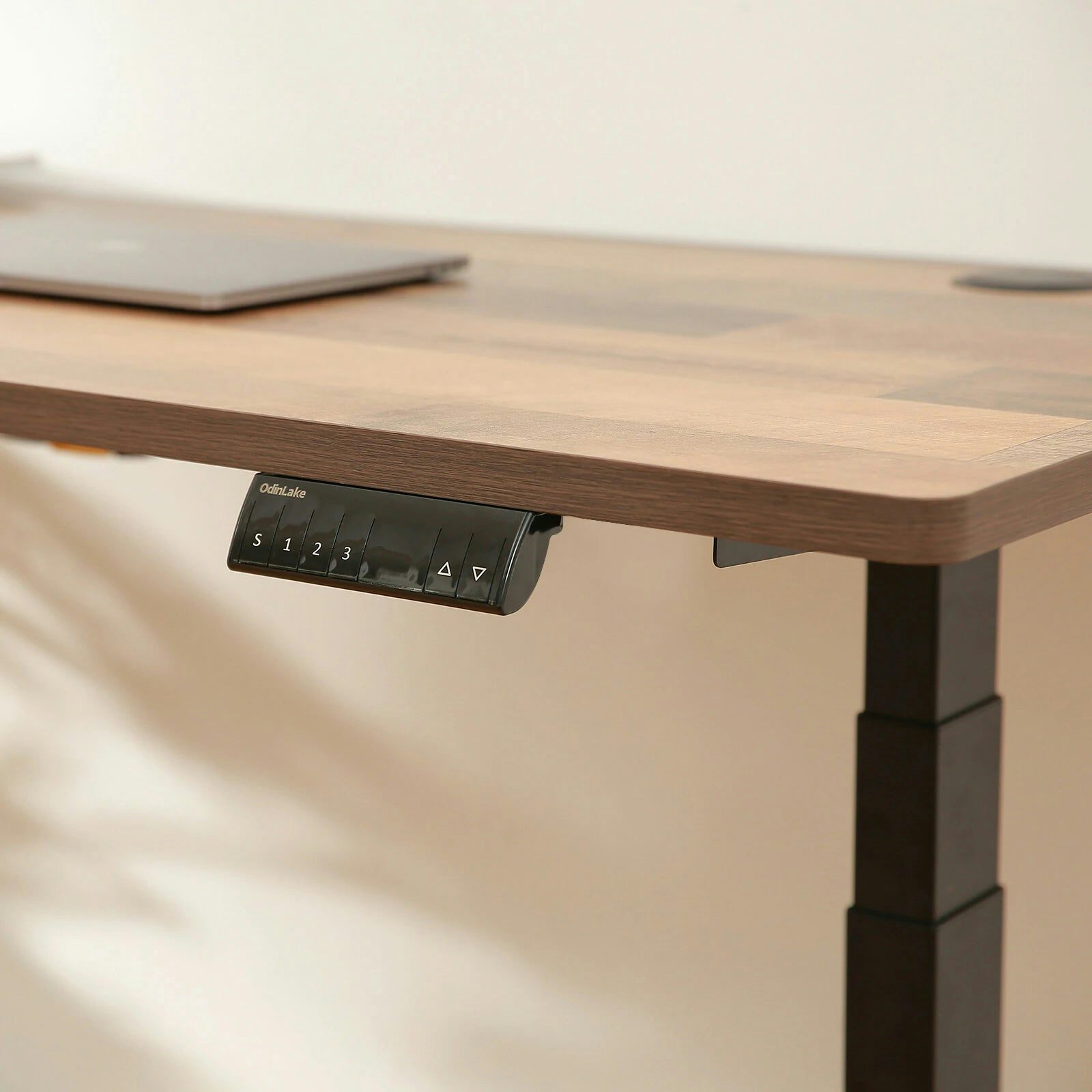 Electric Standing Desk S450